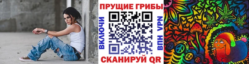 Псилоцибиновые грибы мицелий  Сурск 